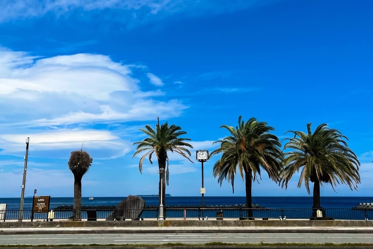 海を眺めて、ひと息